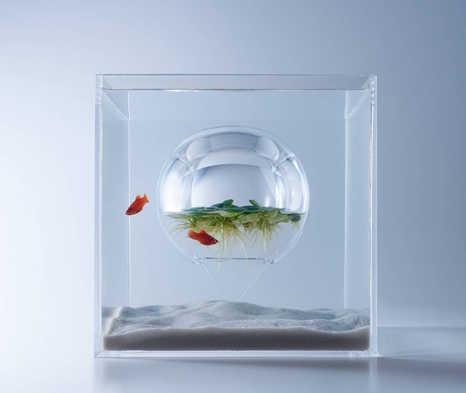 Minimal aquarium12