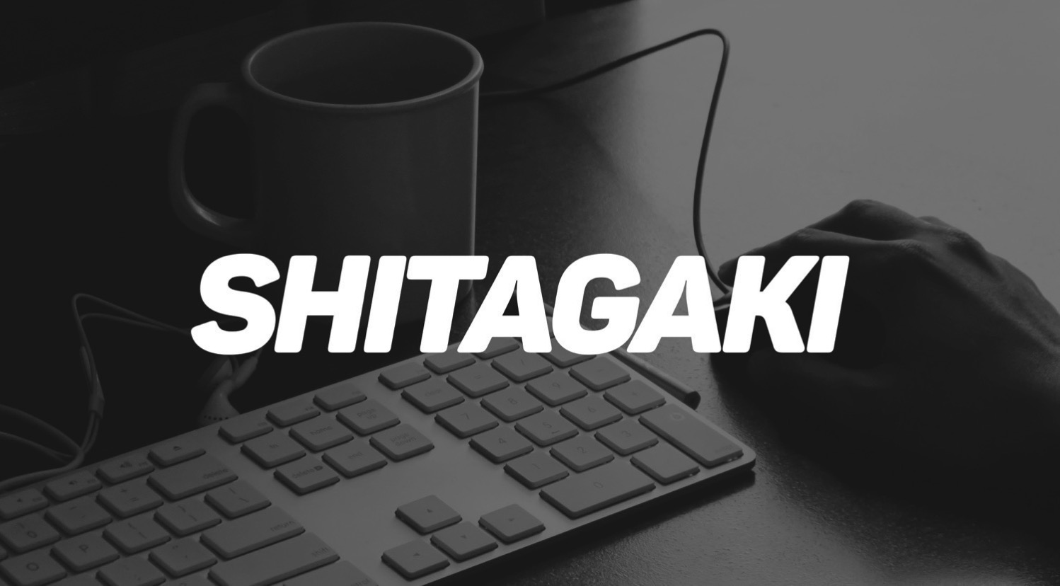 Wordpress shitagaki 1